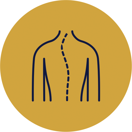 Back Pain Icon